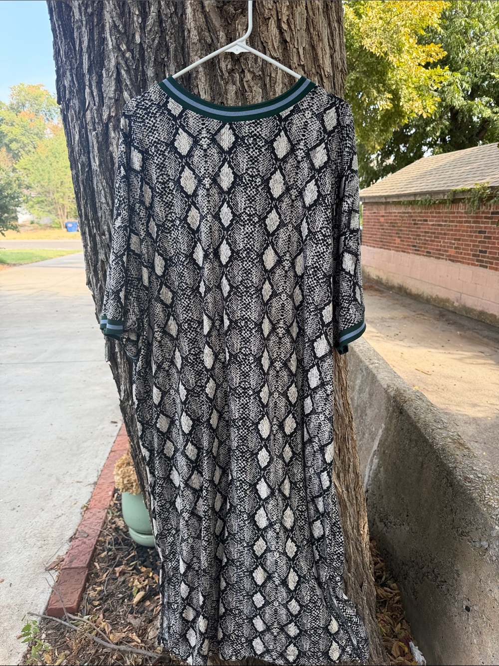 Dressed in LALA Black & White Snake-Print Maxi Dress with Green Trim